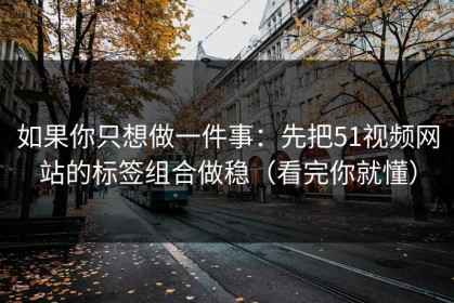 如果你只想做一件事：先把51视频网站的标签组合做稳（看完你就懂）