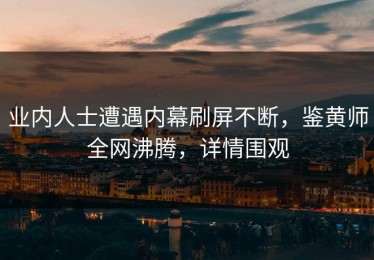 业内人士遭遇内幕刷屏不断，鉴黄师全网沸腾，详情围观
