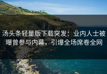 汤头条轻量版下载突发：业内人士被曝曾参与内幕，引爆全场席卷全网