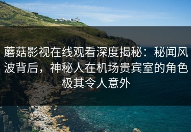 蘑菇影视在线观看深度揭秘：秘闻风波背后，神秘人在机场贵宾室的角色极其令人意外