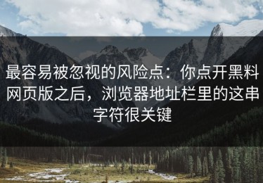 最容易被忽视的风险点：你点开黑料网页版之后，浏览器地址栏里的这串字符很关键