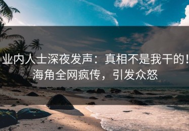 业内人士深夜发声：真相不是我干的！海角全网疯传，引发众怒