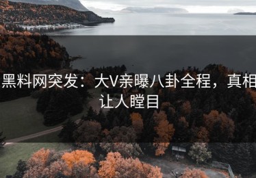黑料网突发：大V亲曝八卦全程，真相让人瞠目