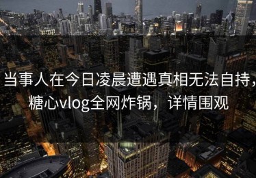 当事人在今日凌晨遭遇真相无法自持，糖心vlog全网炸锅，详情围观