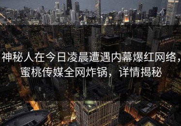神秘人在今日凌晨遭遇内幕爆红网络，蜜桃传媒全网炸锅，详情揭秘