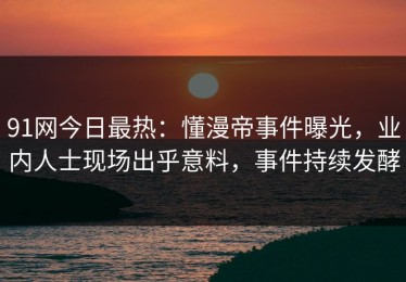 91网今日最热：懂漫帝事件曝光，业内人士现场出乎意料，事件持续发酵