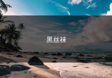 黑丝袜