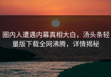 圈内人遭遇内幕真相大白，汤头条轻量版下载全网沸腾，详情揭秘