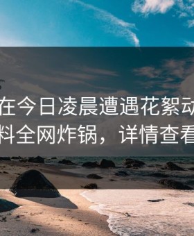当事人在今日凌晨遭遇花絮动情，黑料全网炸锅，详情查看