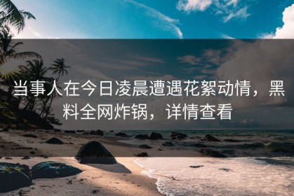 当事人在今日凌晨遭遇花絮动情，黑料全网炸锅，详情查看