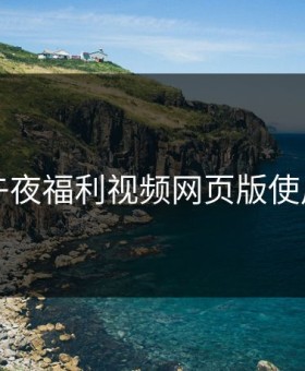 午夜福利视频网页版使用