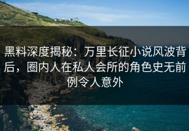 黑料深度揭秘：万里长征小说风波背后，圈内人在私人会所的角色史无前例令人意外