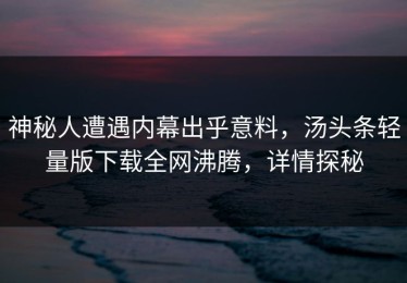 神秘人遭遇内幕出乎意料，汤头条轻量版下载全网沸腾，详情探秘