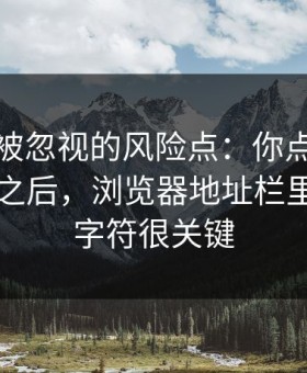 最容易被忽视的风险点：你点开黑料网页版之后，浏览器地址栏里的这串字符很关键