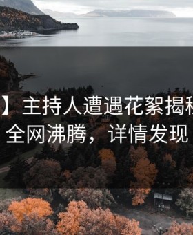【震惊】主持人遭遇花絮揭秘，探花全网沸腾，详情发现