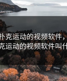 双人打扑克运动的视频软件，双人打扑克运动的视频软件叫什么