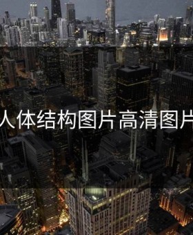 人体结构图片高清图片