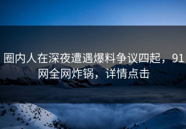 圈内人在深夜遭遇爆料争议四起，91网全网炸锅，详情点击