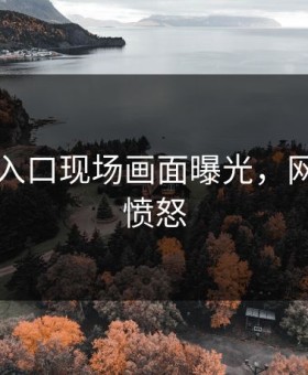 91吃瓜入口现场画面曝光，网友直呼愤怒
