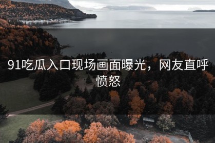 91吃瓜入口现场画面曝光，网友直呼愤怒