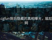 91cgfun背后隐藏的真相曝光，尴尬全网