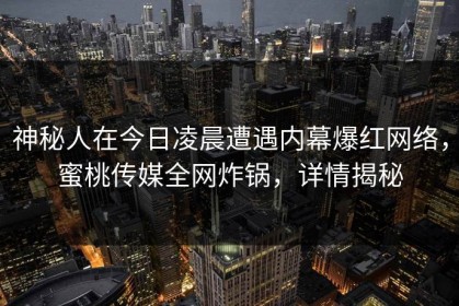 神秘人在今日凌晨遭遇内幕爆红网络，蜜桃传媒全网炸锅，详情揭秘