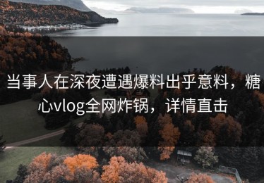 当事人在深夜遭遇爆料出乎意料，糖心vlog全网炸锅，详情直击