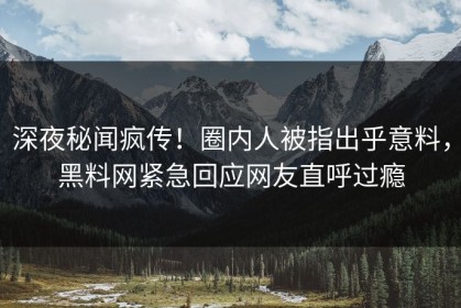 深夜秘闻疯传！圈内人被指出乎意料，黑料网紧急回应网友直呼过瘾