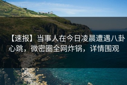 【速报】当事人在今日凌晨遭遇八卦心跳，微密圈全网炸锅，详情围观