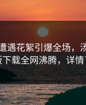 当事人遭遇花絮引爆全场，汤头条轻量版下载全网沸腾，详情了解