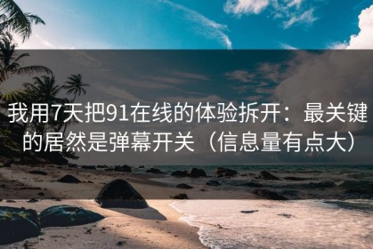 我用7天把91在线的体验拆开：最关键的居然是弹幕开关（信息量有点大）