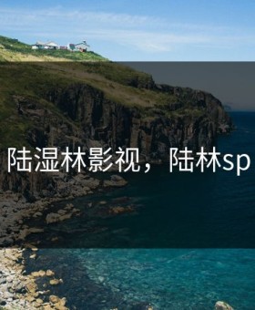 陆湿林影视，陆林sp