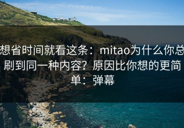想省时间就看这条：mitao为什么你总刷到同一种内容？原因比你想的更简单：弹幕
