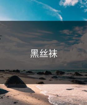 黑丝袜