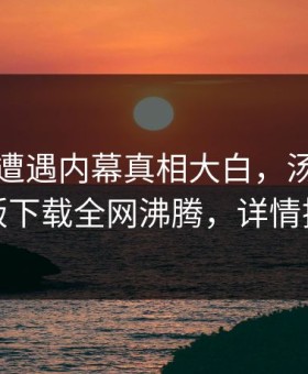 圈内人遭遇内幕真相大白，汤头条轻量版下载全网沸腾，详情揭秘