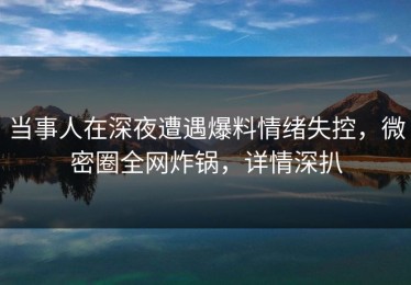 当事人在深夜遭遇爆料情绪失控，微密圈全网炸锅，详情深扒