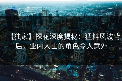 【独家】探花深度揭秘：猛料风波背后，业内人士的角色令人意外