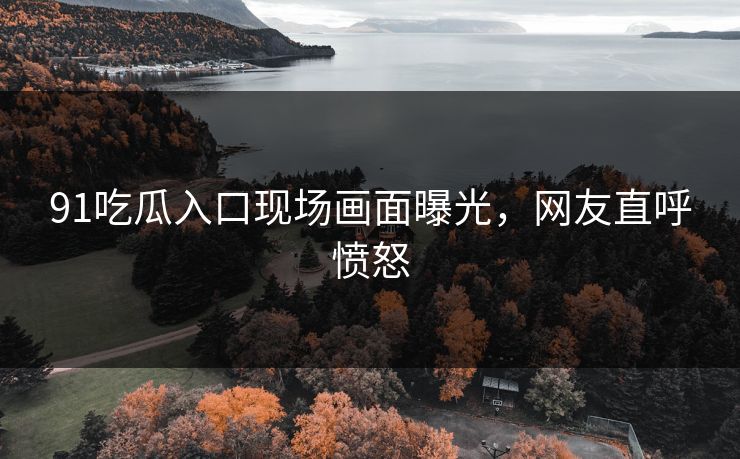91吃瓜入口现场画面曝光，网友直呼愤怒