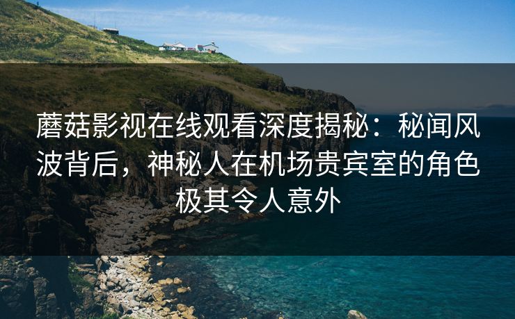 蘑菇影视在线观看深度揭秘：秘闻风波背后，神秘人在机场贵宾室的角色极其令人意外