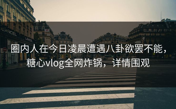 圈内人在今日凌晨遭遇八卦欲罢不能，糖心vlog全网炸锅，详情围观