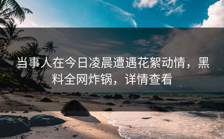 当事人在今日凌晨遭遇花絮动情，黑料全网炸锅，详情查看
