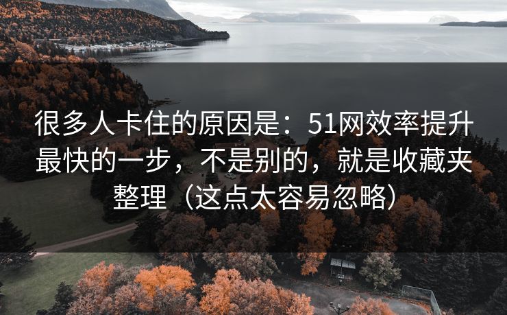 很多人卡住的原因是:51网效率提升最快的一步,不是别的,就是收藏夹整理(这点太容易忽略) 很多人卡住的原因是:51网效率提升最快的一步,不是别的,就是收藏夹整理(这点太容易忽略)